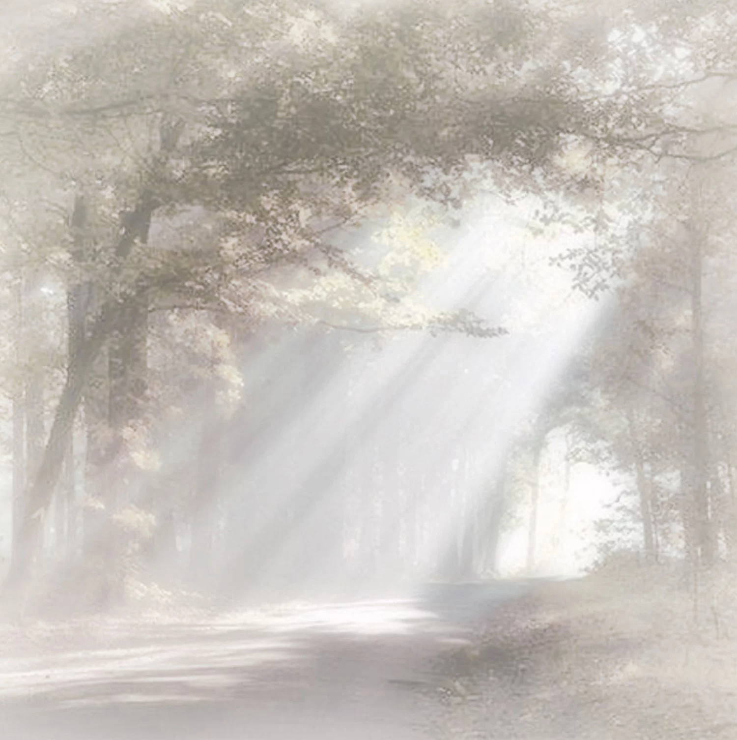 Rouwkaart zonnestralen in het bos