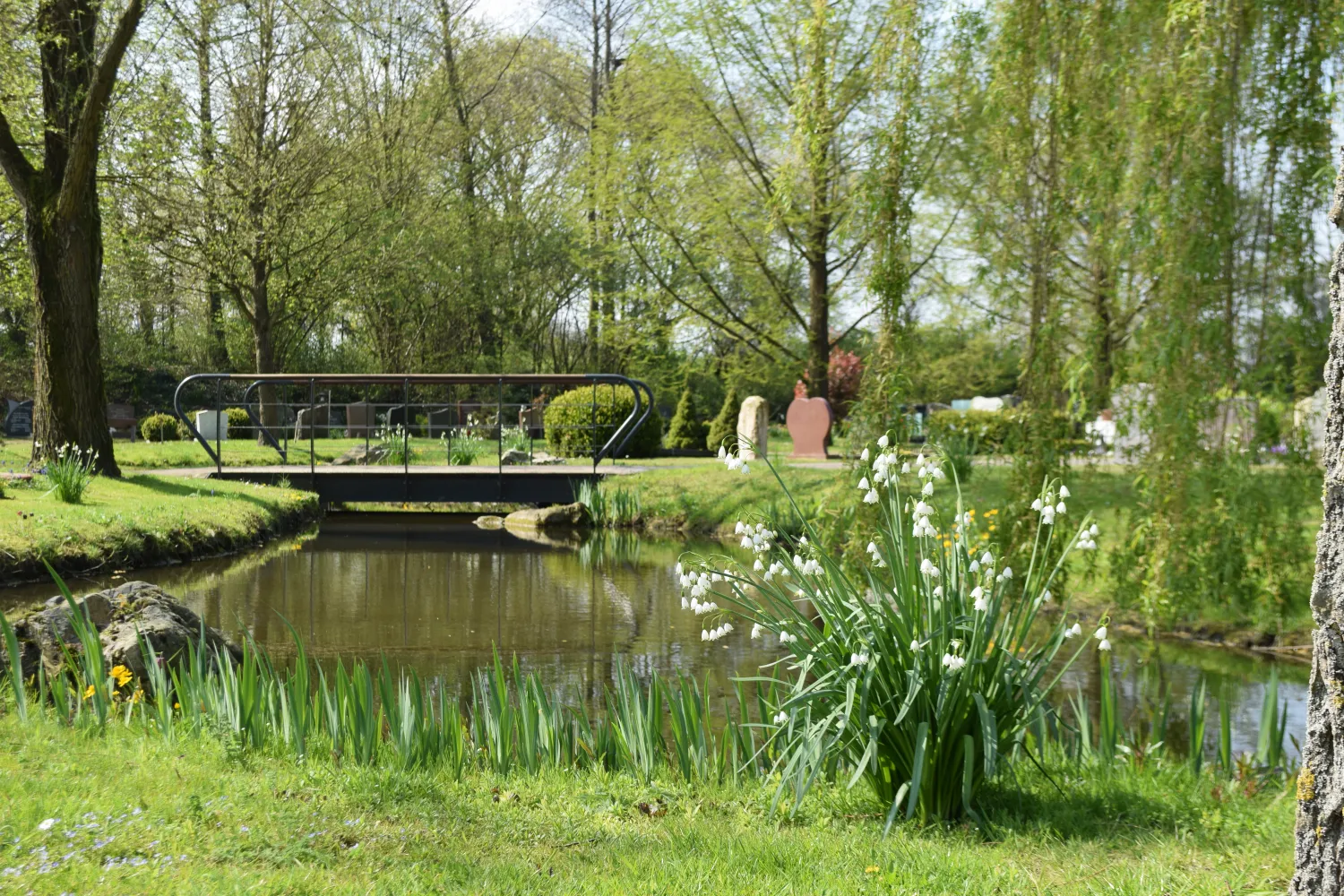 Herdenkingsplek bij begrafenis: graf als vaste plek – Infinity Uitvaartzorg