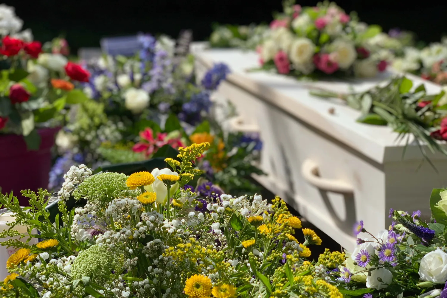 Particulier graf: meer mogelijkheden voor gedenkmonument – Infinity Uitvaartzorg