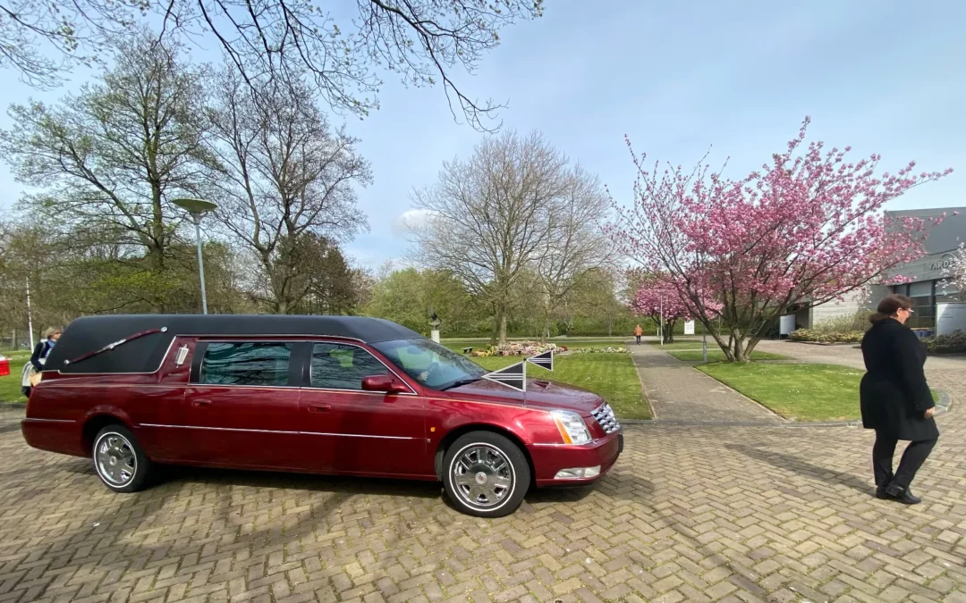 Bordeauxrode Cadillac bij bloesembomen