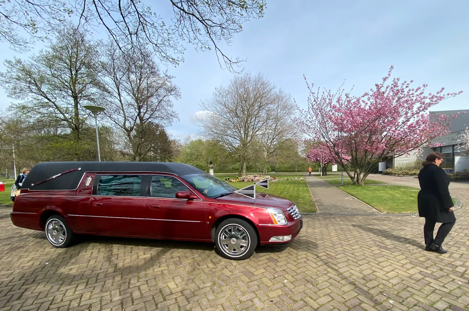 Bordeauxrode Cadillac Bij Bloesembomen